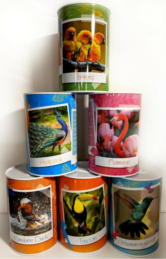 EXOTIC BIRDS WITH INTERSTING FACTS  MONEY TIN(ASSORTED) DESIGN SEND RANDOMLY