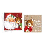 CHRISTMAS CARDS SQUARE SANTA PK10